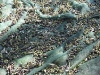 img_1874-800x600.jpg