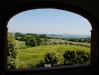 gallery_302.jpg