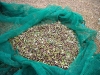 158-800x600.jpg