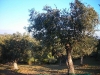173-800x600.jpg